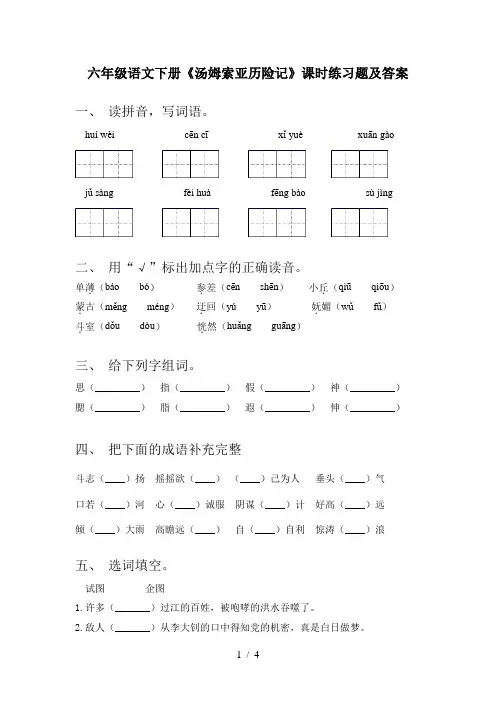 六年级语文下册《汤姆索亚历险记》课时练习题及答案