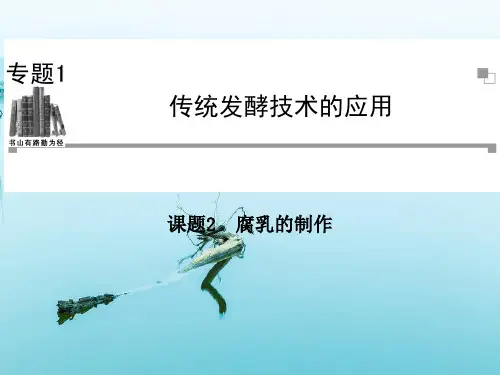 腐乳的制作PPT教学课件_2