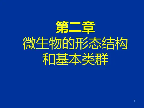 第二章 微生物的形态结构和基本类群2PPT课件