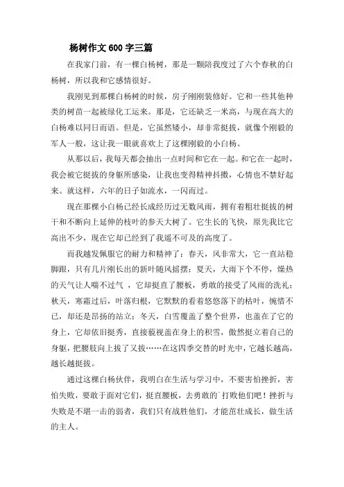 杨树作文600字三篇精选