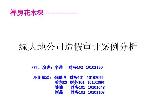 绿大地审计案例分析