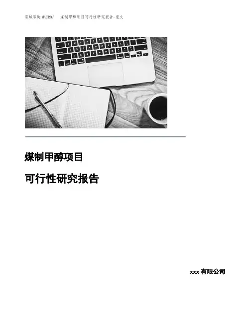 煤制甲醇项目可行性研究报告-范文