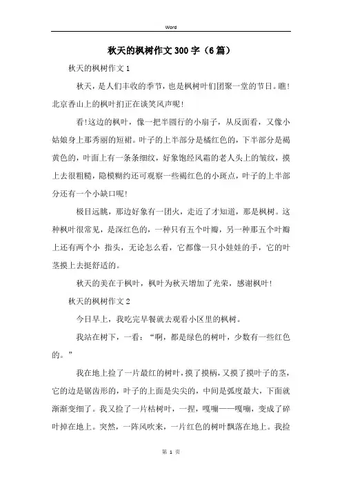 秋天的枫树作文300字(6篇)