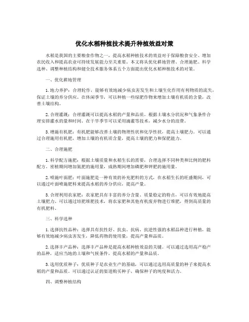 优化水稻种植技术提升种植效益对策
