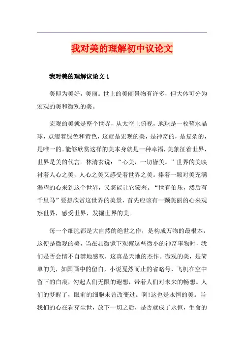 我对美的理解初中议论文