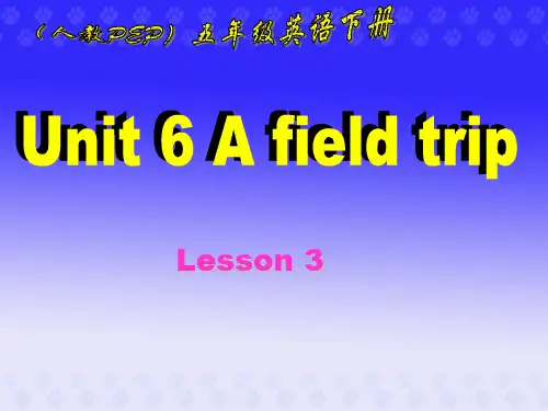 人教PEP版英语五年级下册《UNIT6(14)》课件