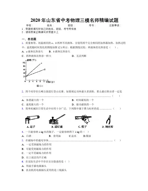 2020年山东省中考物理三模名师精编试题附解析