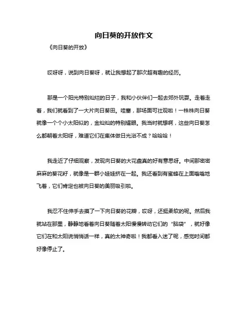 向日葵的开放作文