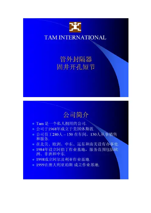 TAM International 打压膨胀式封隔器和遇油水自膨胀封隔器