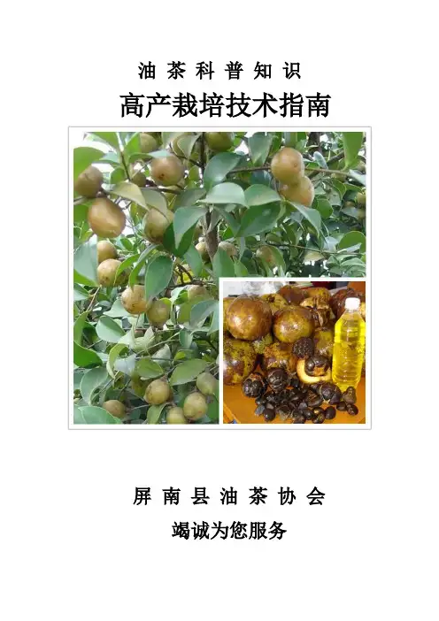 油茶种植技术