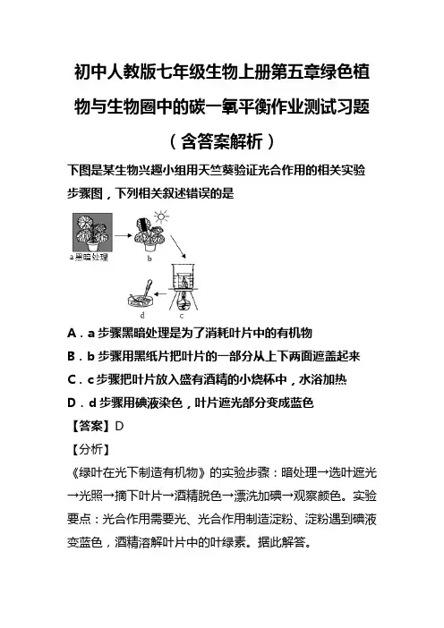 初中人教版七年级生物上册第五章绿色植物与生物圈中的碳一氧平衡作业测试习题(含答案解析)(65)