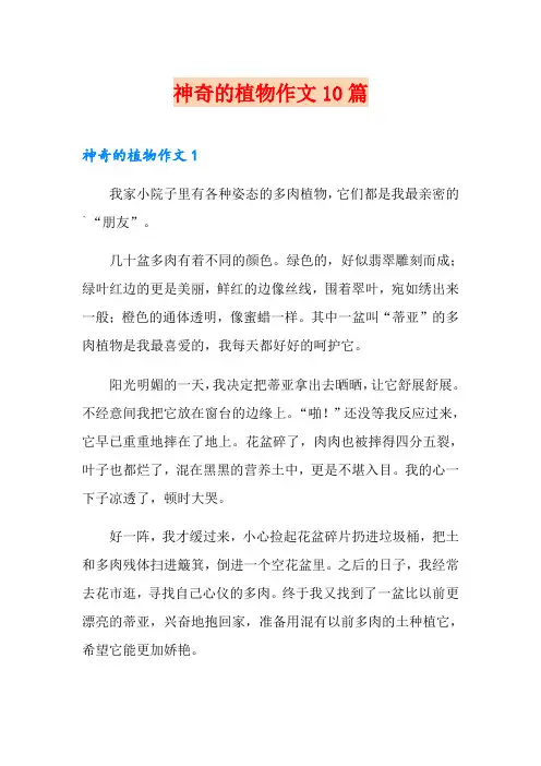 神奇的植物作文10篇