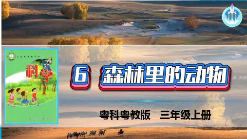 最新粤教版科学三年级上册第6课森林里的动物课件