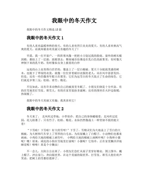 我眼中的冬天作文