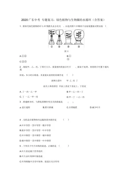 2020广东中考专题复习：绿色植物与生物圈的水循环(含答案)