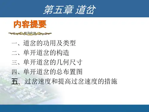 铁道工程-第五章 道岔