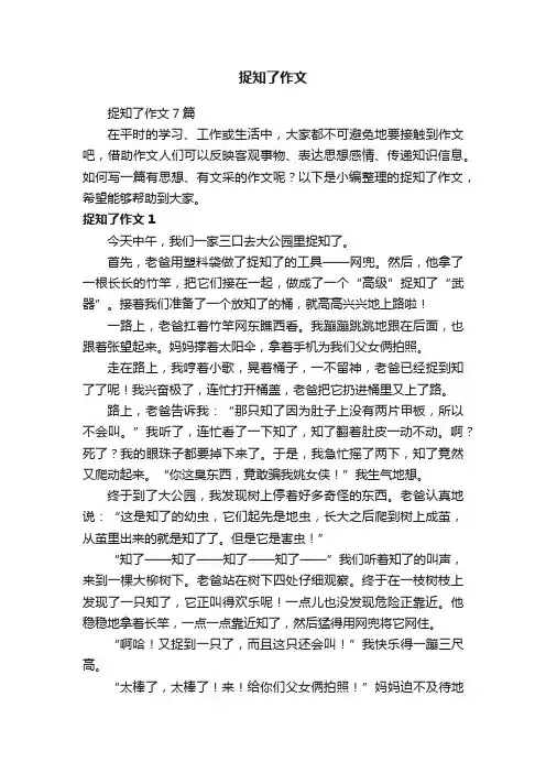 捉知了作文7篇