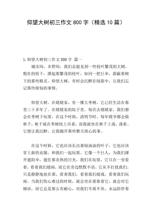 仰望大树初三作文800字(精选10篇)