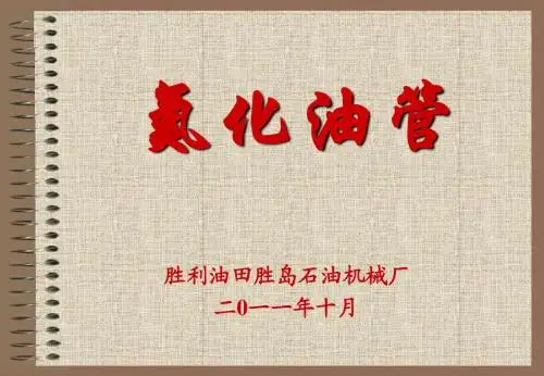 氮化油管宣传片