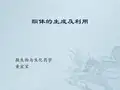 酮体的生成与利用