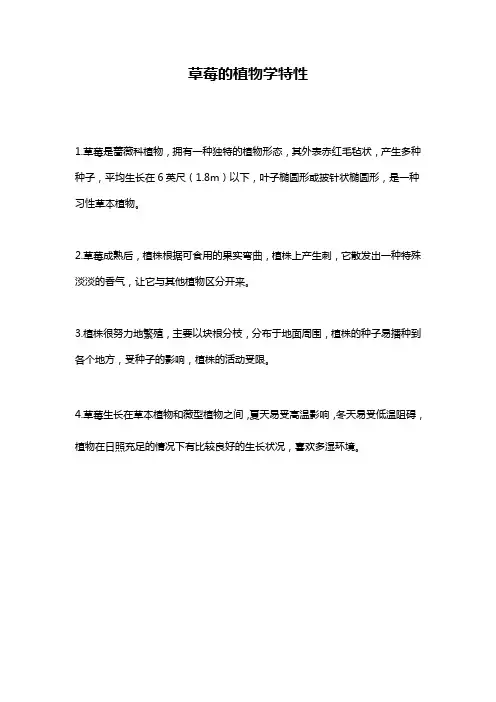 草莓的植物学特性