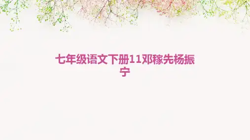 七年级语文下册11.邓稼先杨振宁