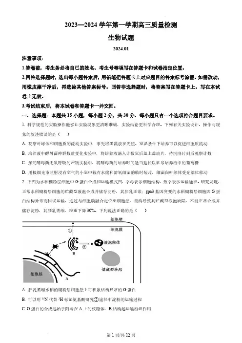 2024届山东省枣庄市高三上学期期末考试生物及答案