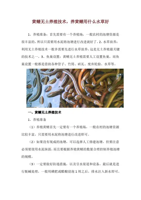 黄鳝无土养殖技术,养黄鳝用什么水草好
