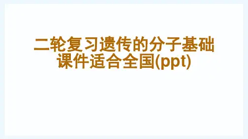 二轮复习遗传的分子基础课件适合全国(ppt)