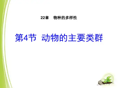 最新北师大版初中八年级生物下册《动物的主要类群》教学课件