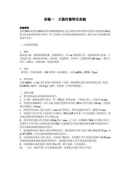 实验一  大肠杆菌转化实验
