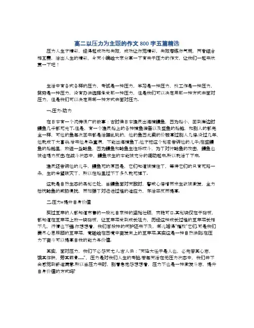 高二以压力为主题的作文800字五篇精选