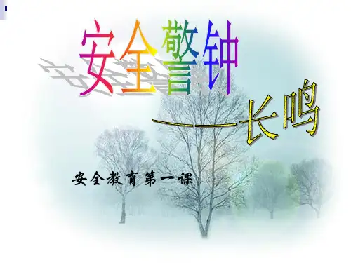 安全教育第一课ppt