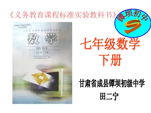 七年级数学下册ppt课件 人教版