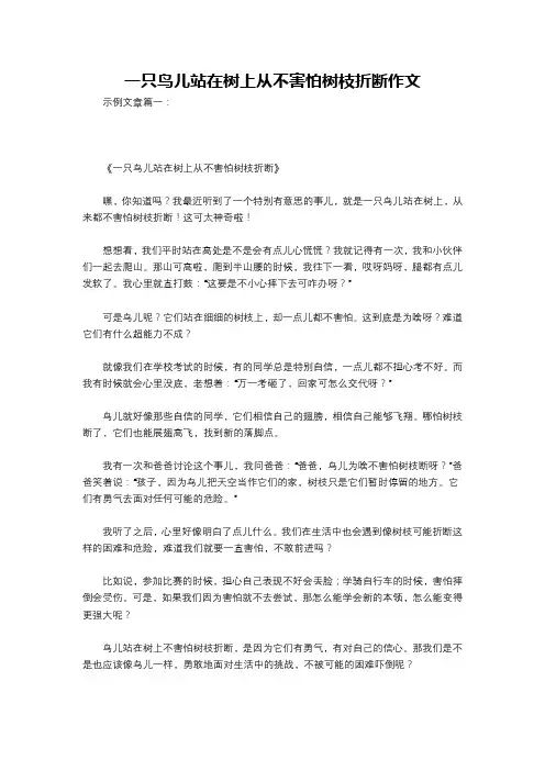 一只鸟儿站在树上从不害怕树枝折断作文