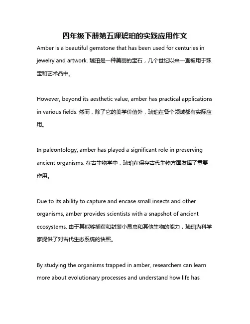 四年级下册第五课琥珀的实践应用作文