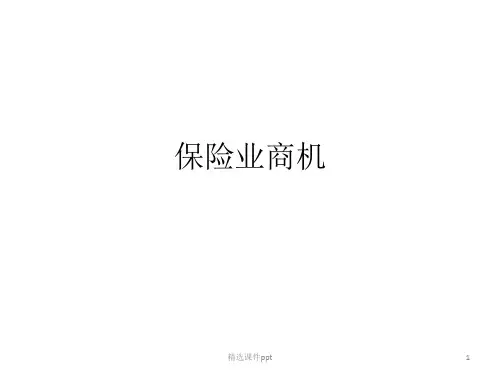 保险业商机ppt课件