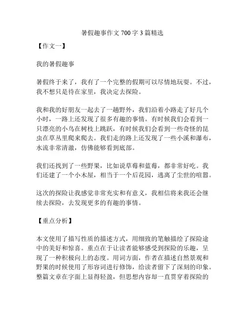暑假趣事作文700字3篇精选