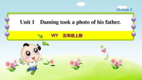 外研版小学英语五年级上册Module3 《Unit 2 Daming took a photo of his father》课后作业课件PPT