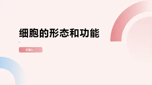 细胞的形态和功能