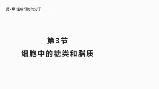 2.3 细胞中的糖类和脂质课件(共28张PPT)