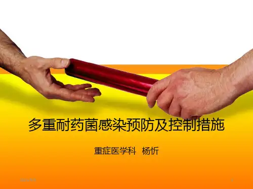 《多重耐药》ppt课件
