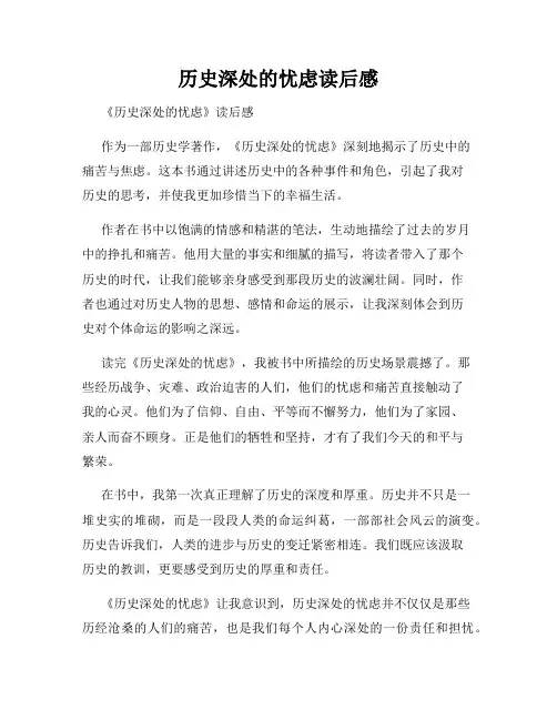 历史深处的忧虑读后感