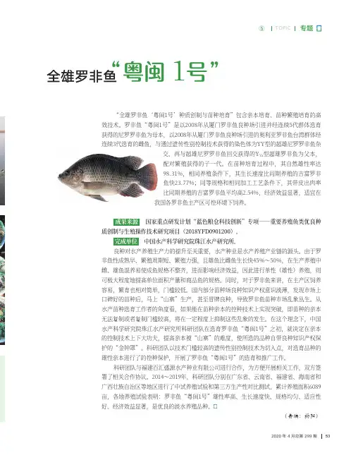 全雄罗非鱼“粤闽1号”