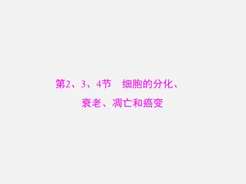 高考生物 一轮复习 第6章 第2-4节 细胞的分化、衰老、凋亡和癌变(必修1)