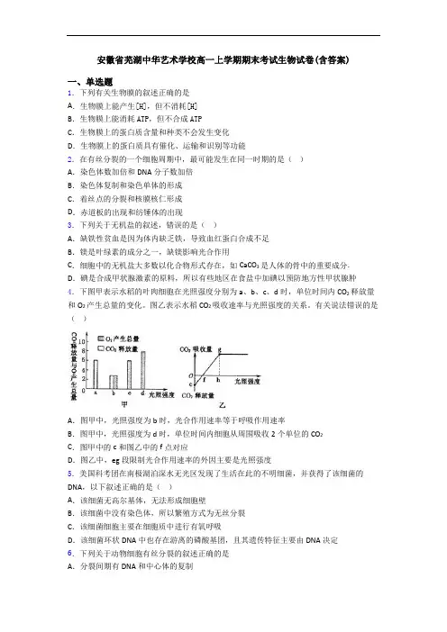 安徽省芜湖中华艺术学校高一上学期期末考试生物试卷(含答案)