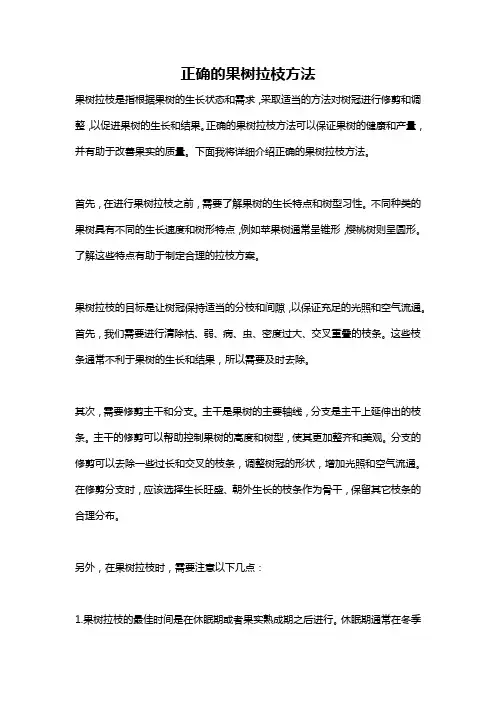 正确的果树拉枝方法