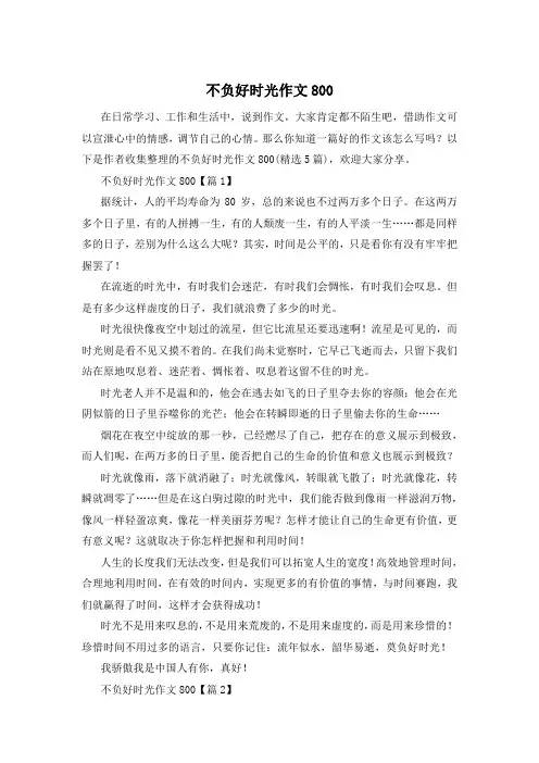不负好时光作文800