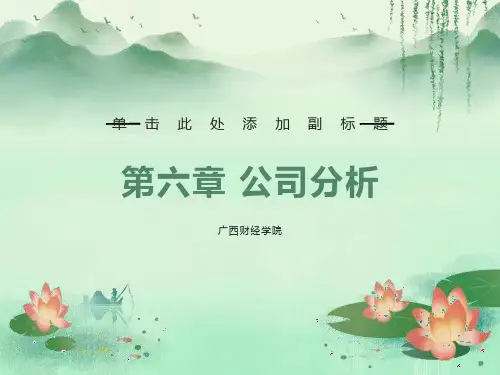 证券投资学PPT课件第六章公司分析