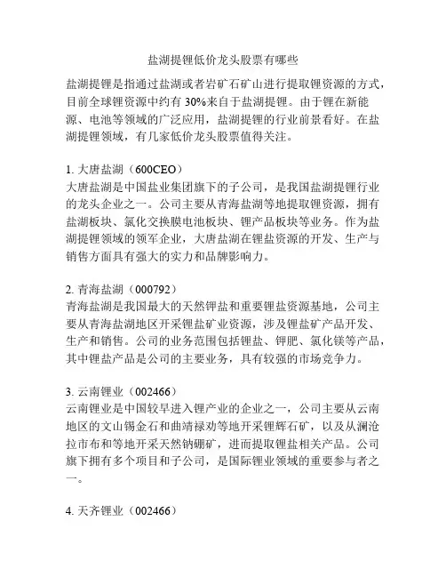 盐湖提锂低价龙头股票有哪些